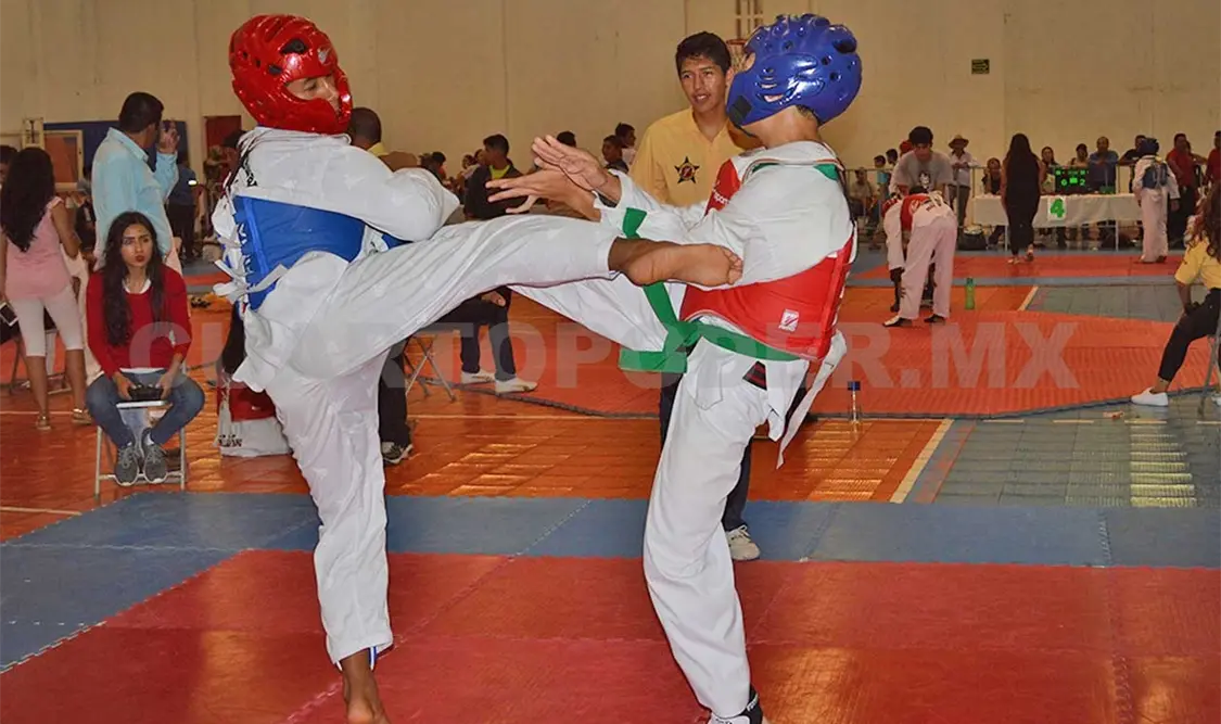 TKD Calzada gana la Copa Centro