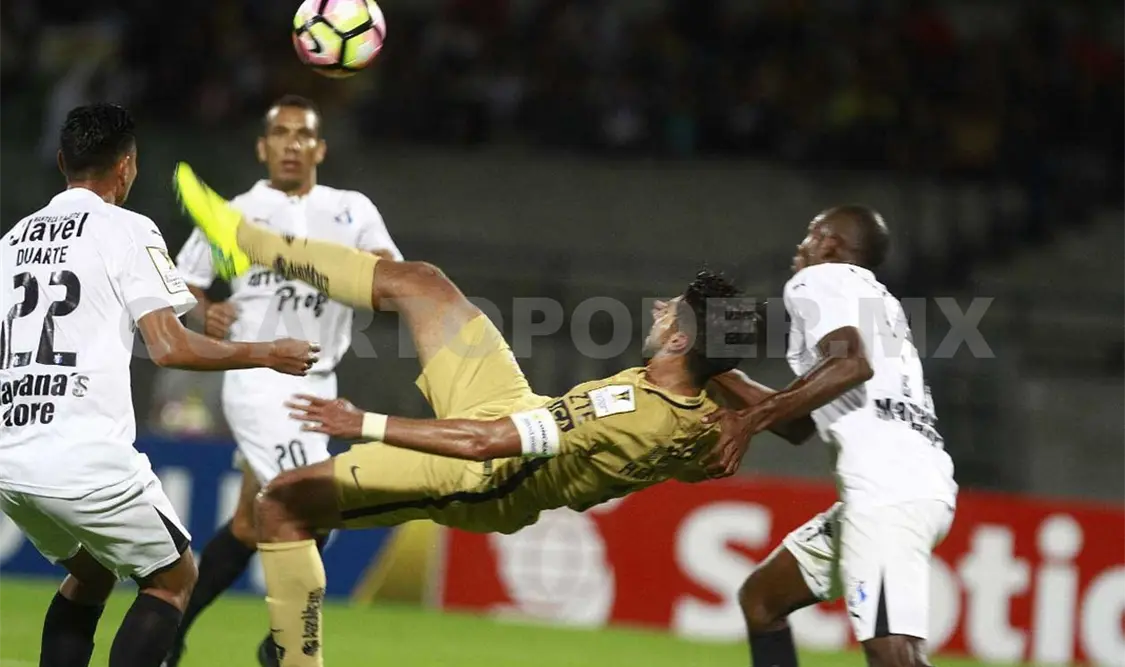 Pumas debe ser campeón en Concachampions