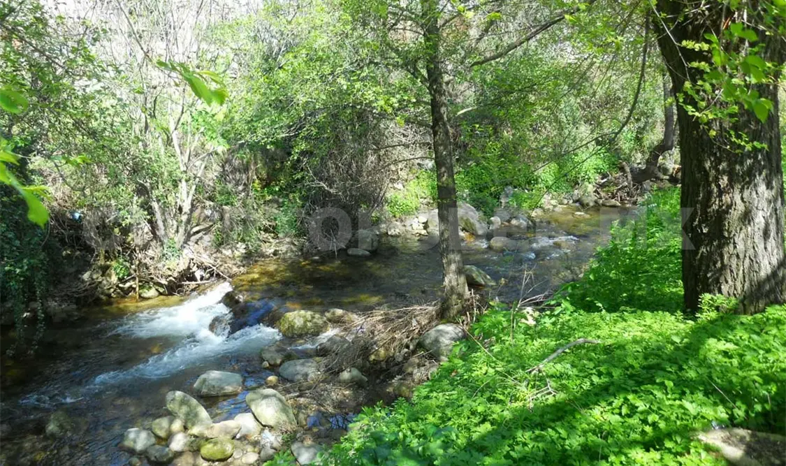 Buscan detonar turismo en zona ecológica