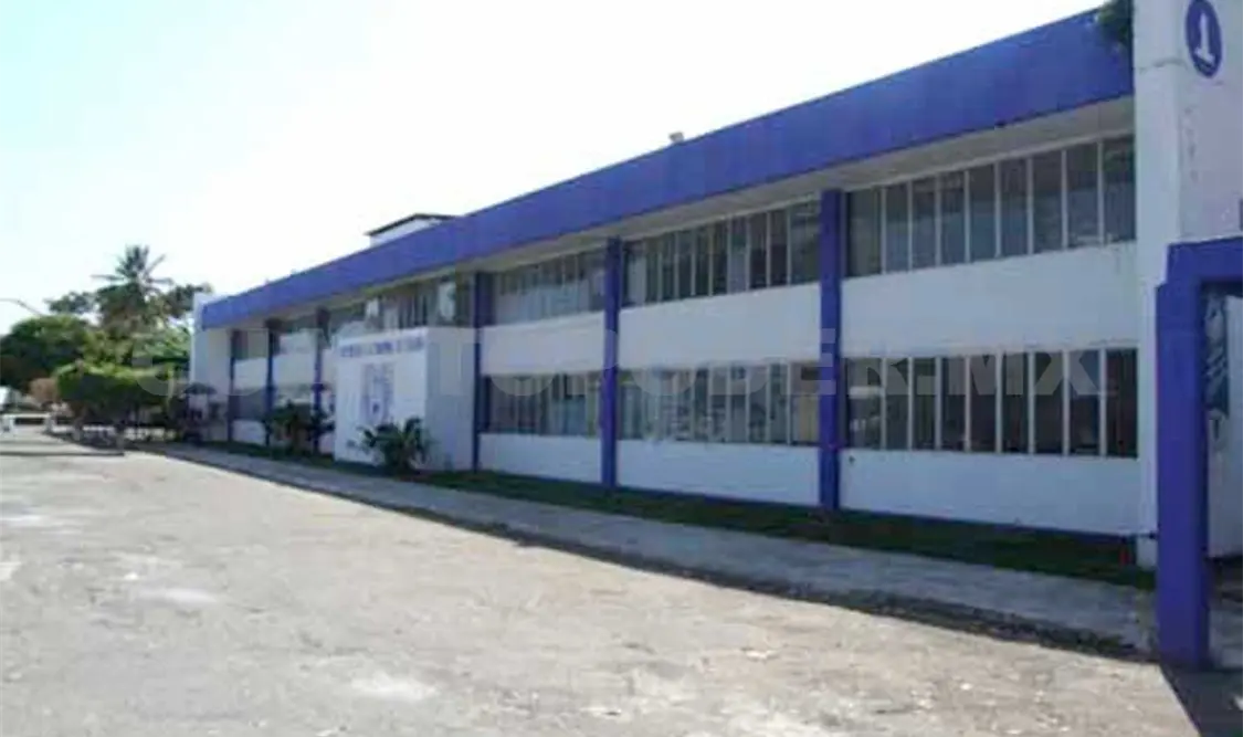 Alumnos acusan faltas de docente