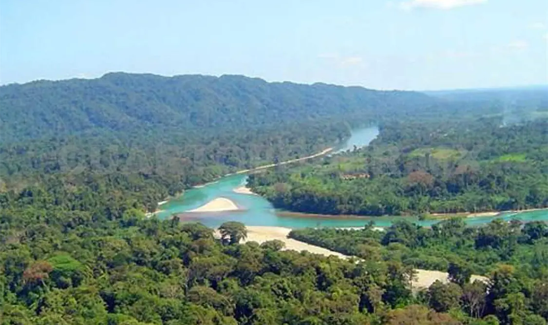 La reforestación de Montes Azules ha hecho que diversas ONGs volteen a ver a Chiapas. Cortesía