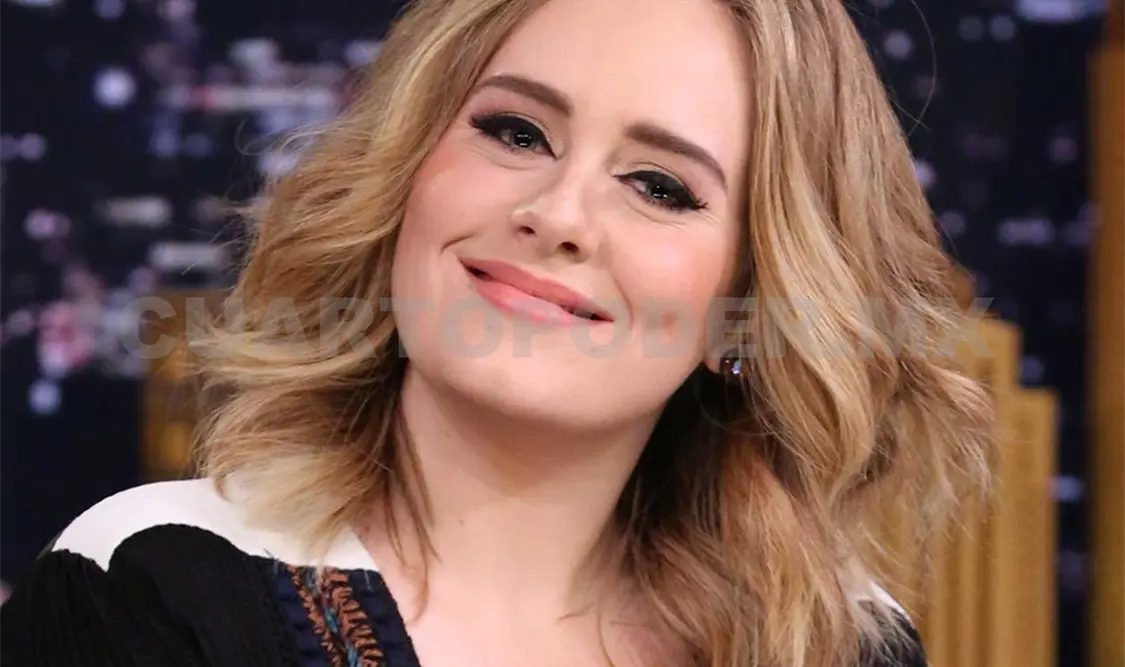 Adele no hará grandes giras, por su hijo