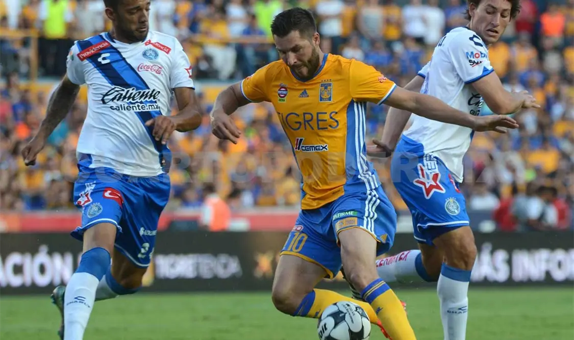 Ante Cruz Azul, Tigres buscará seguir invicto