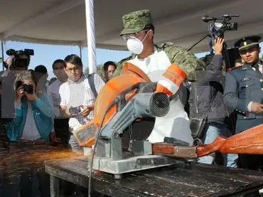Mucha gente de la población no cuenta con el adiestramiento simplemente considera que es un instrumento de defensa pero en la mayoría de las veces se convierte en un riesgo para su familia