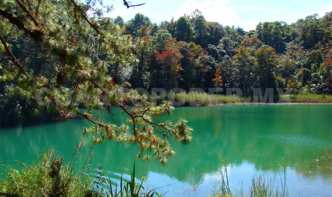 Celebran acciones para el control de la contaminación en el Parque Nacional Lagunas de Montebello. CP