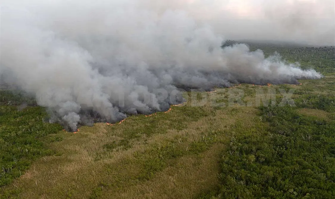 Más de 100 brigadistas controlan incendio