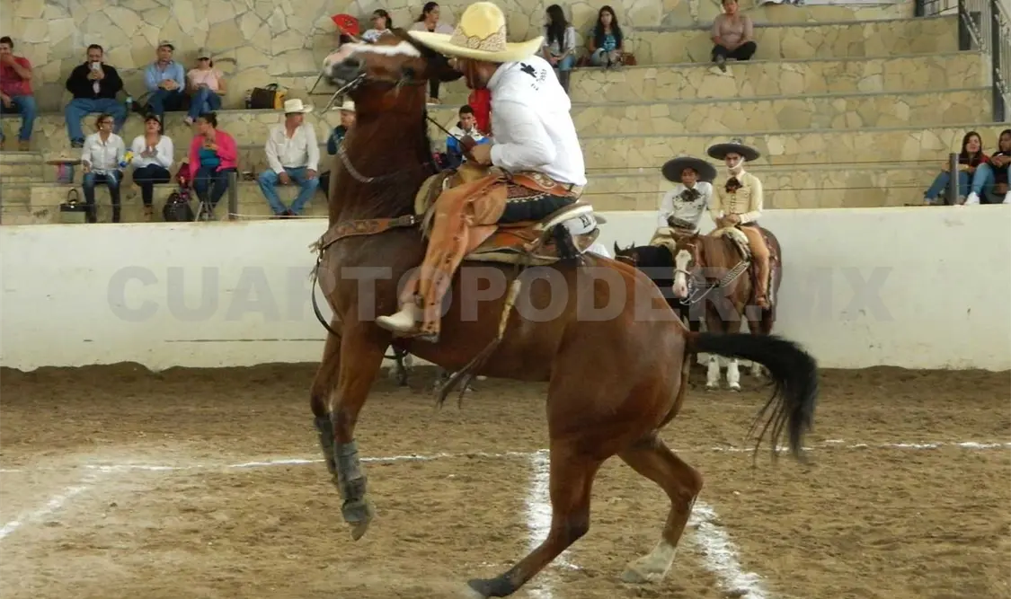 Rancho Cristo Negro con pasaporte a Chiapas 2016