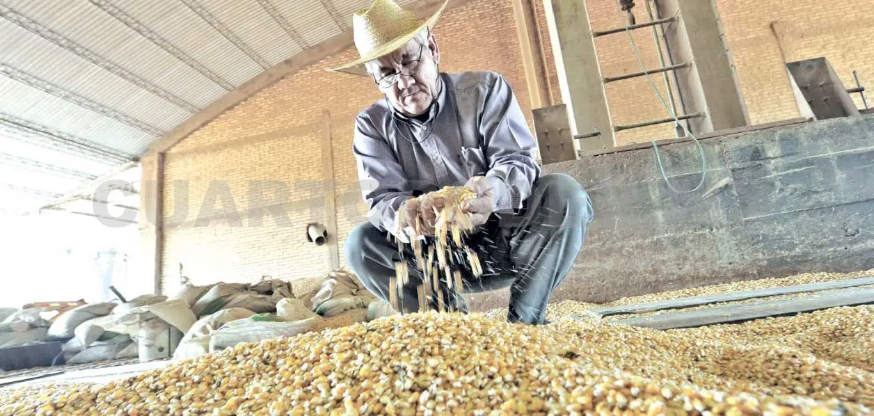 Chiapas se suma a demanda contra Monsanto