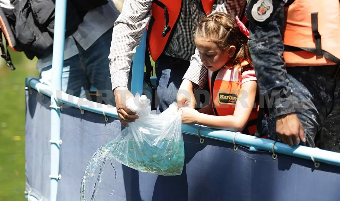 Peces combaten la proliferación de moscos