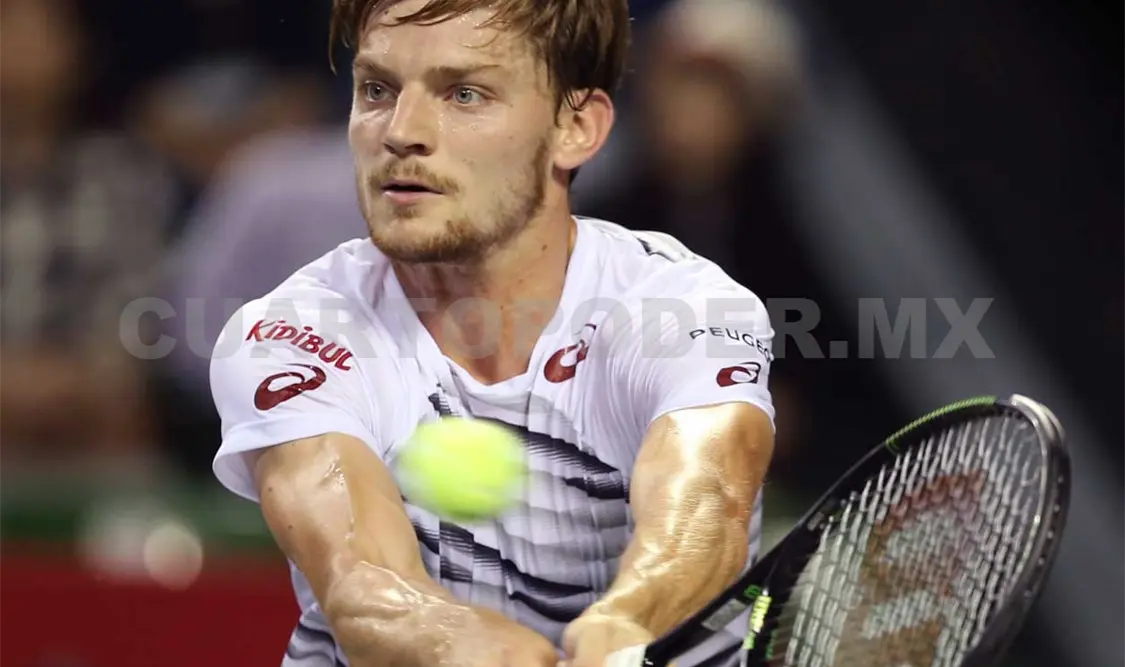 Kyrgios y Goffin disputrarán encuentro final