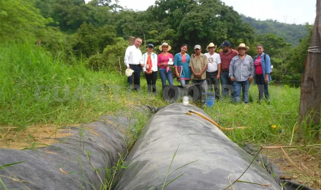 Instalan biodigestores para producción ganadera