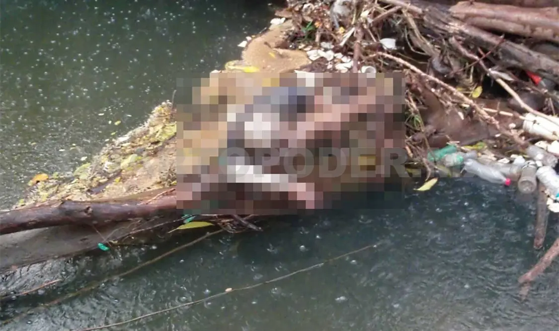 Encuentran cadáver en el río Chalaca