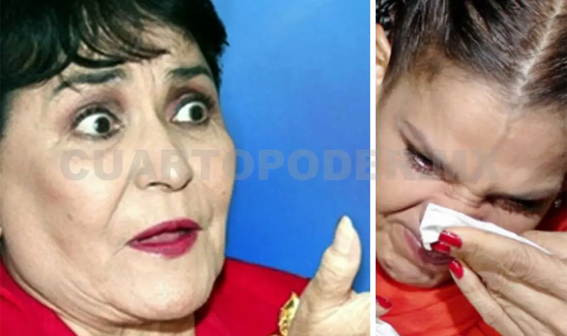 Niurka y Carmen Salinas demandan a Laura Zapata