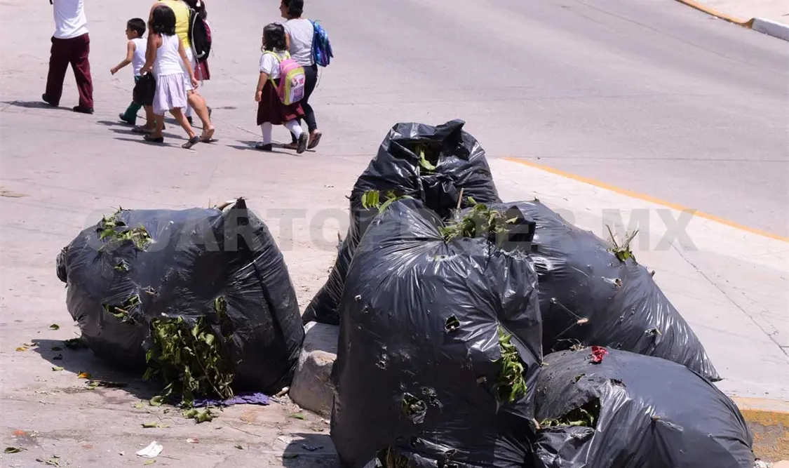 Basura en las calles. CP