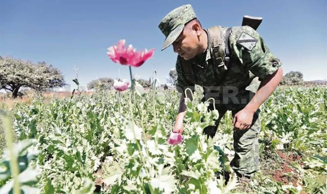 Realizan operación en zonas marginadas