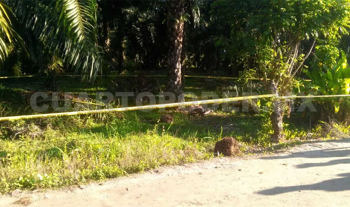 Degüellan a mujer en Suchiate