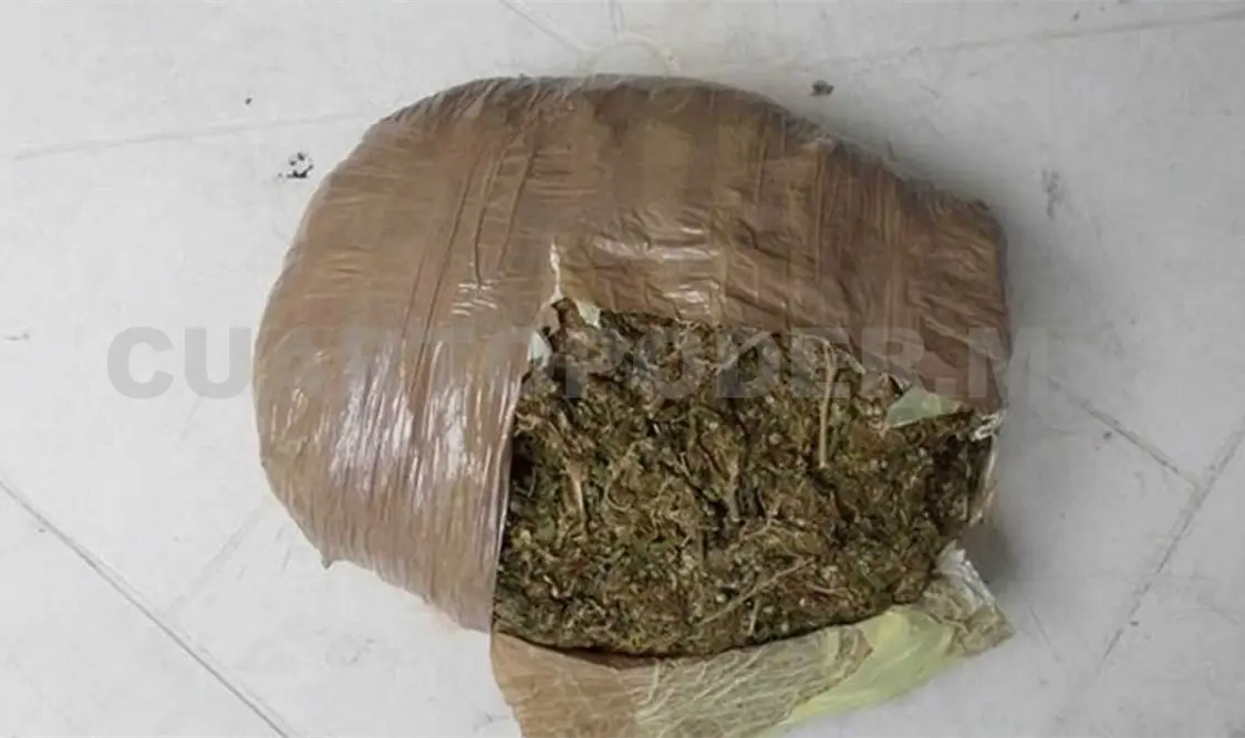 Incauta Fecdo marihuana