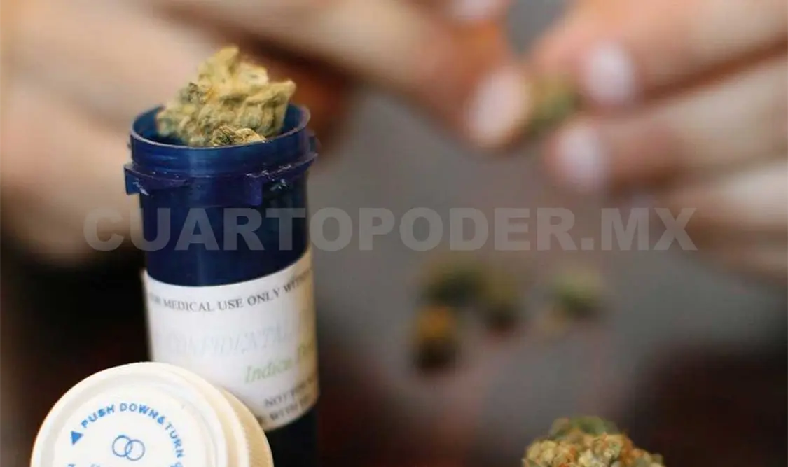 Los productos de cannabis han demostrado sus beneficios terapeúticos. Agencias