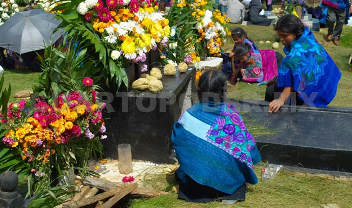 Zinacantán, líder en producción de flores