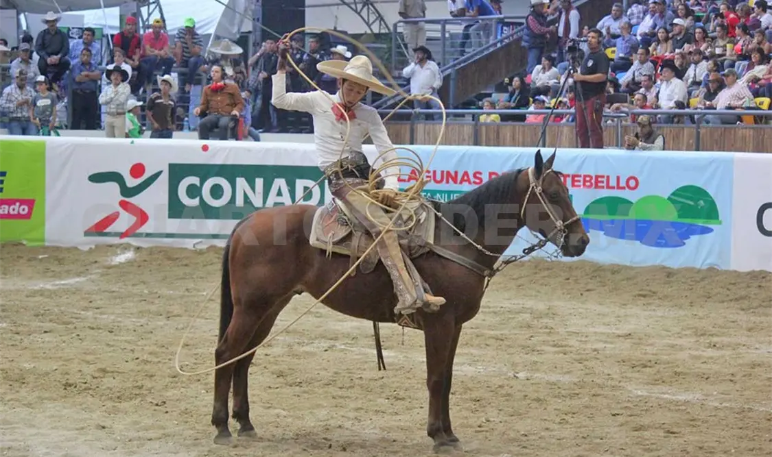 Tres potrillos lidera alto rendimiento