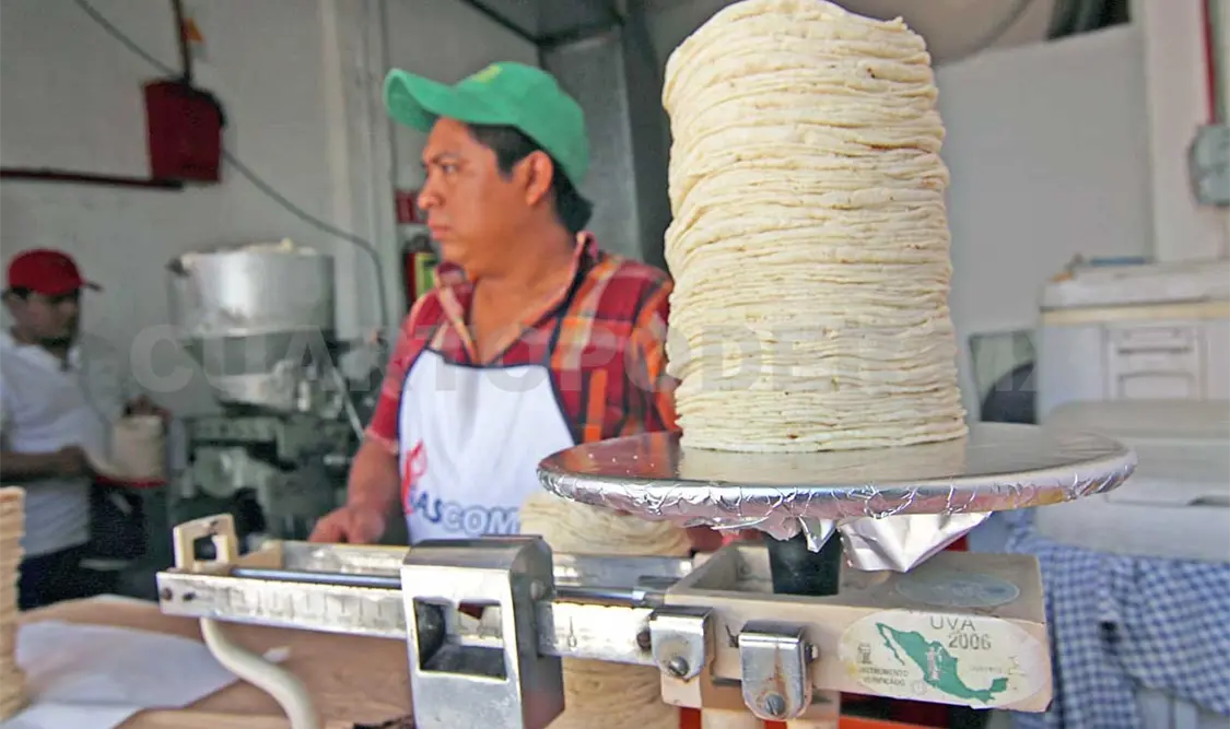 Prevén alzas en precio de harina y tortilla