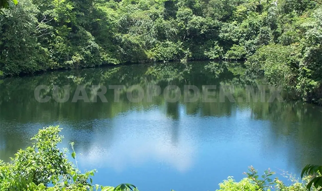 El parque natural está conformado por tres lagunas, lo que ha ayudado a proteger al cocodrilo de río. CP