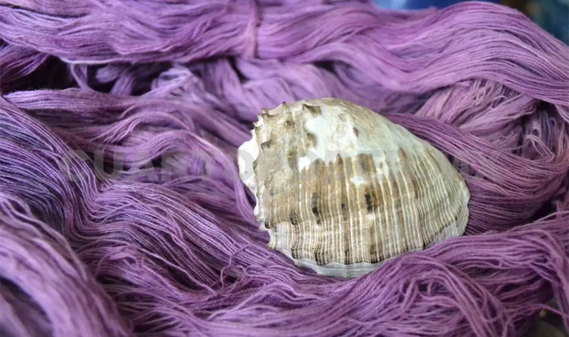 Teñir con caracol púrpura, técnica mixteca ancestral