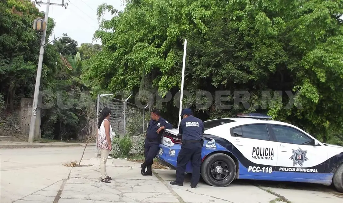 Roban cosecha con valor de 30 mil pesos