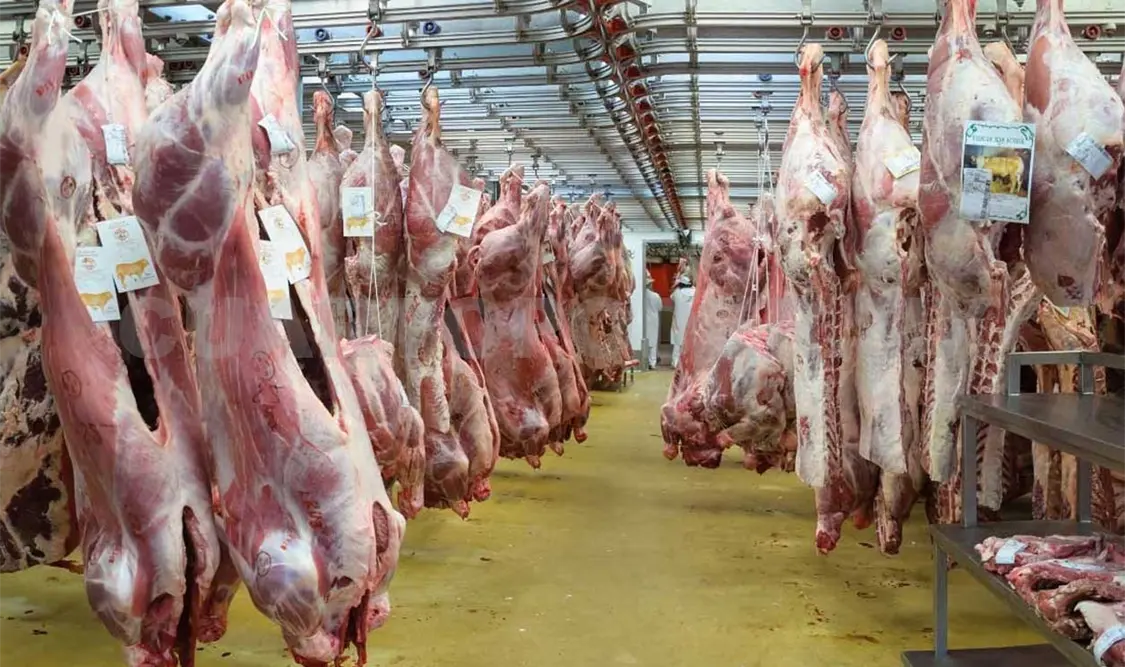 Conforman Comisiones de Movilización para garantizar sanidad pecuaria