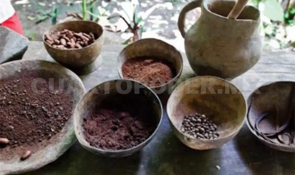El grano de cacao. Cortesía