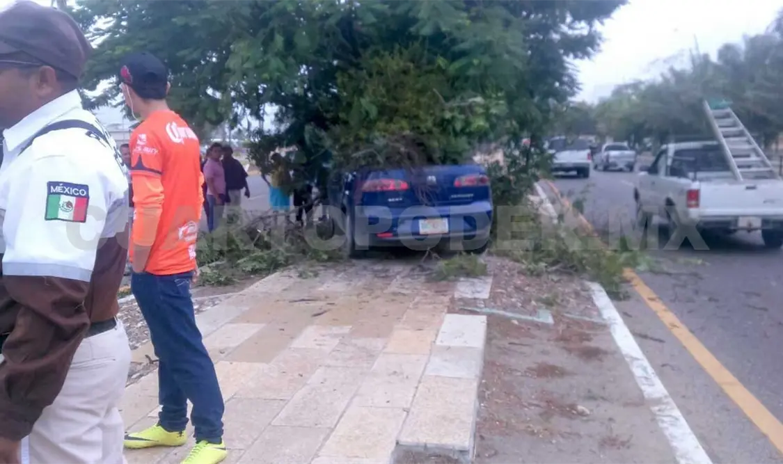 Joven impacta su coche contra árbol