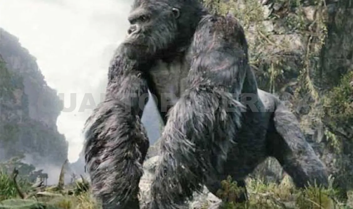 Dan detalles del aspecto de King Kong