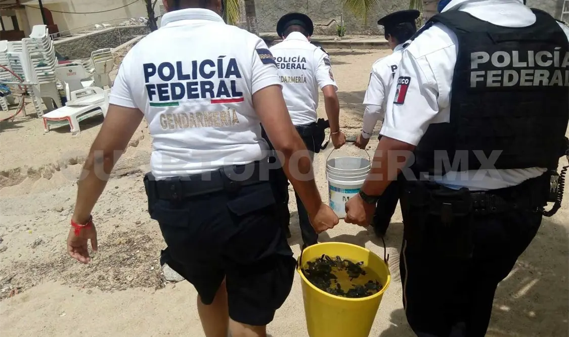 Frente común contra delitos ambientales