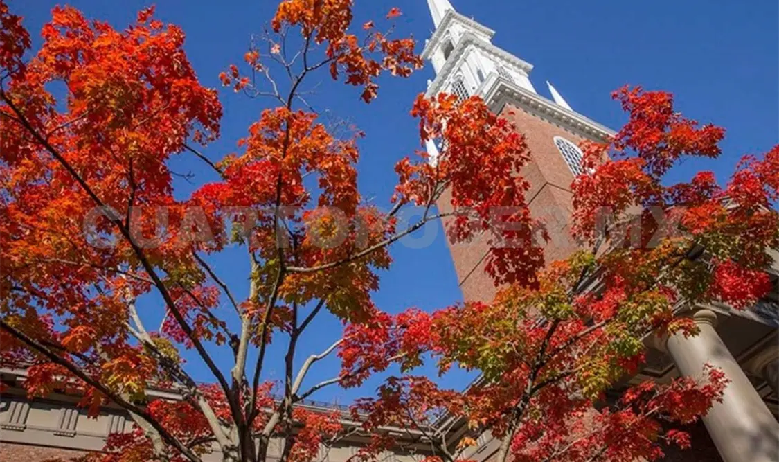 Al fondo, una parte de la Universidad de Harvard. Cortesía