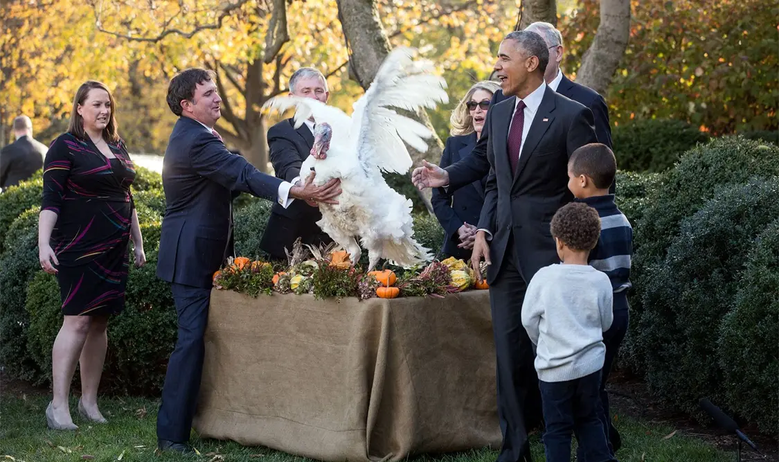 Por última vez Obama indulta dos pavos previo a Acción de Gracias