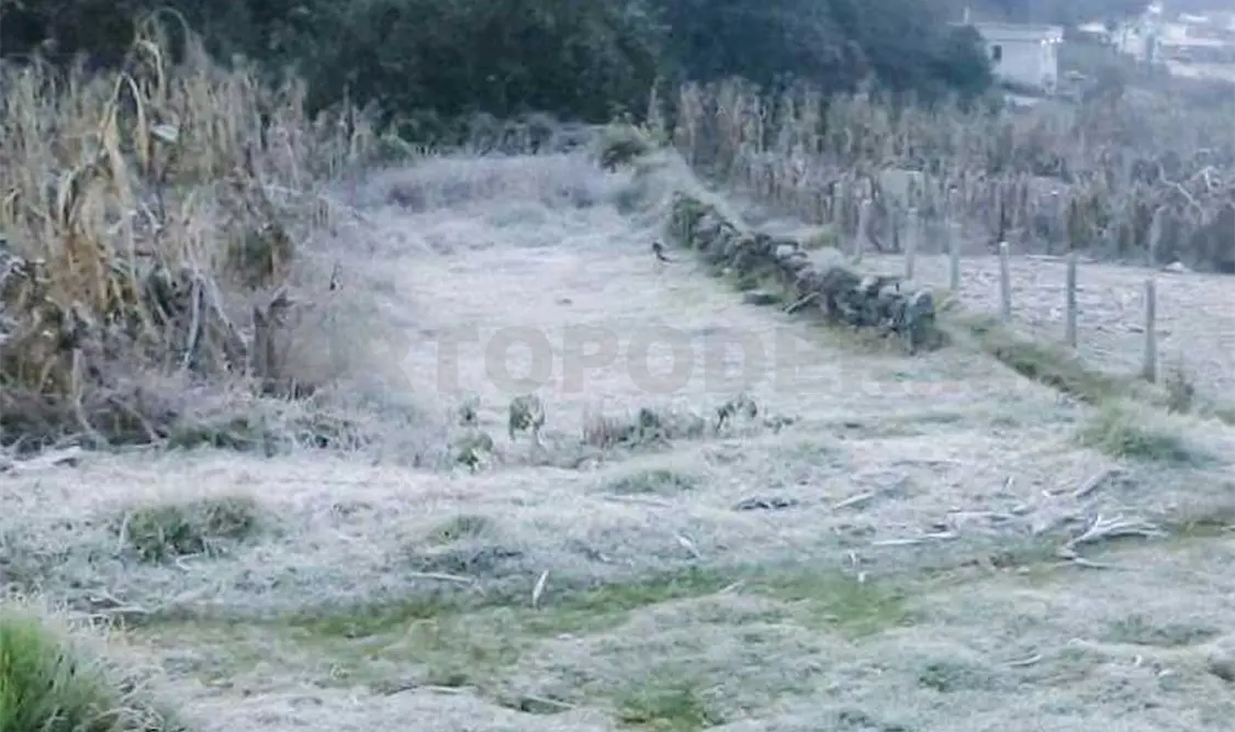 Aspecto de las heladas en la zona de San Cristóbal. CP