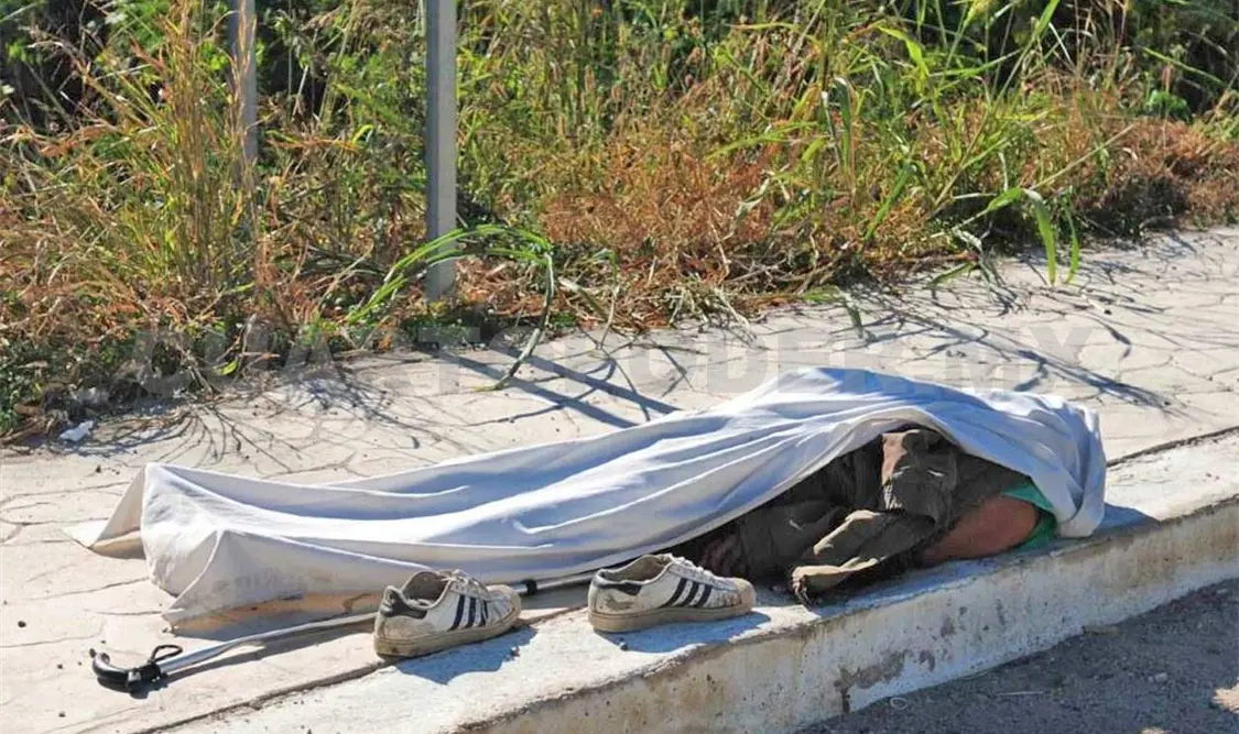 Un auto le arrebató la vida