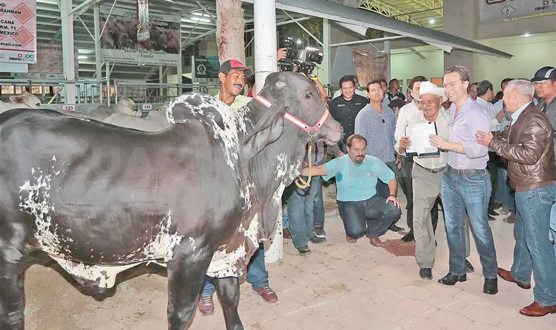 El gobernador inauguró la XXXVIII Exposición Ganadera Regional y la XIX Exposición Regional Ovina, en la Feria Chiapas 2016. CP