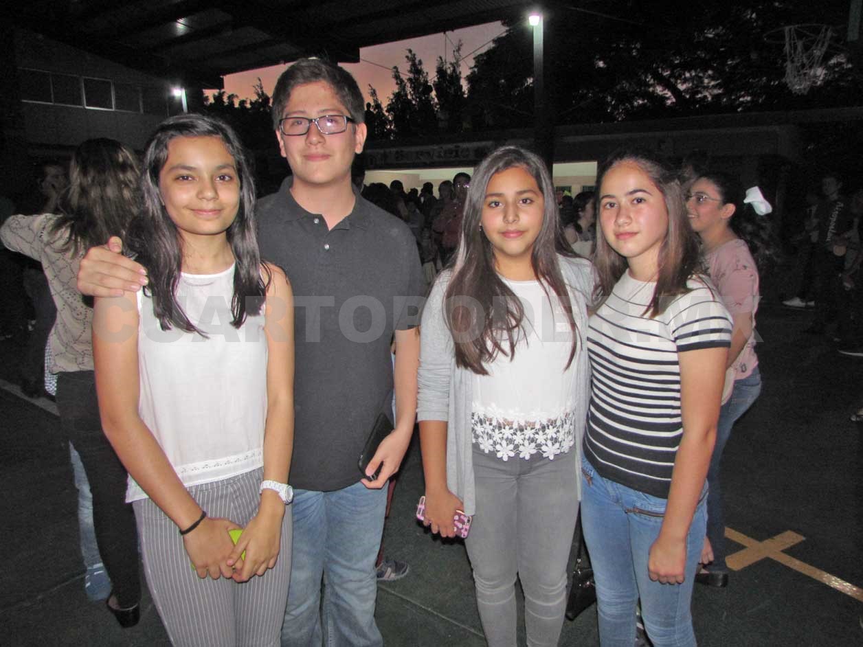 Encienden luces de árbolito