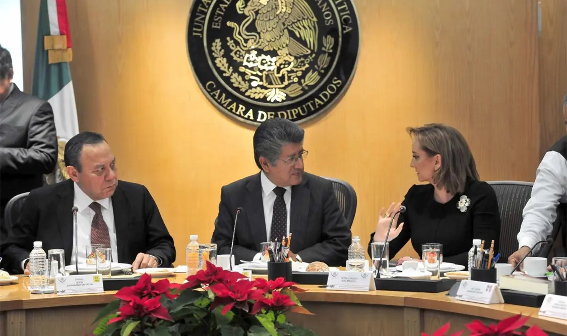 Ruiz Massieu llama a diputados cerrar filas en pro de mexicanos en EUA