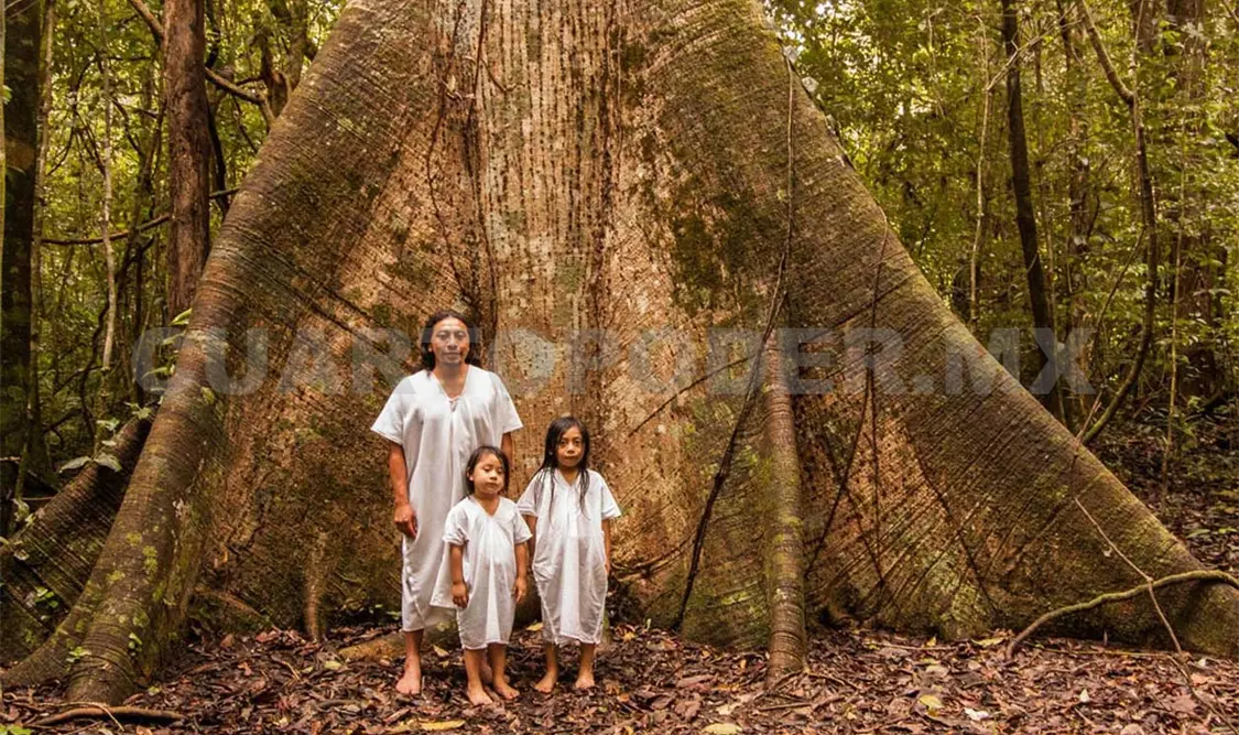 Confirman resguardo de la Selva Lacandona