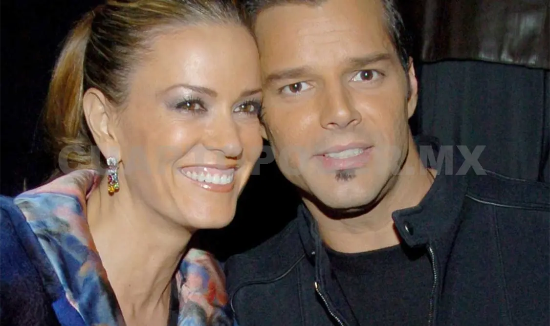 Rebecca de Alba y Ricky Martin perdieron un bebé
