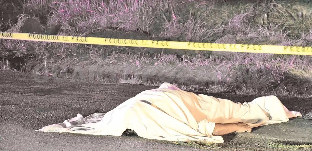 Ciclista muere arrollado en la carretera