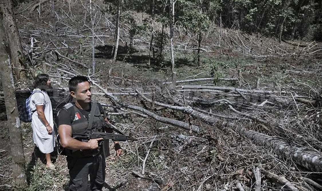 Chiapas podría tener una Gendarmería Ambiental