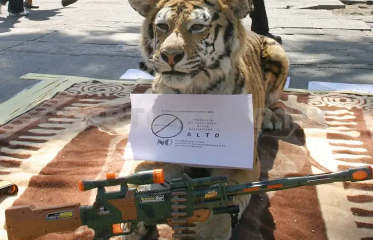 Aumentan castigo para delitos contra fauna