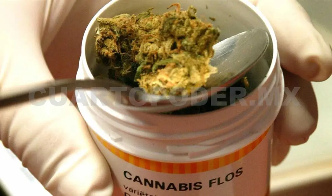 Aprueba Senado uso de mariguana medicinal