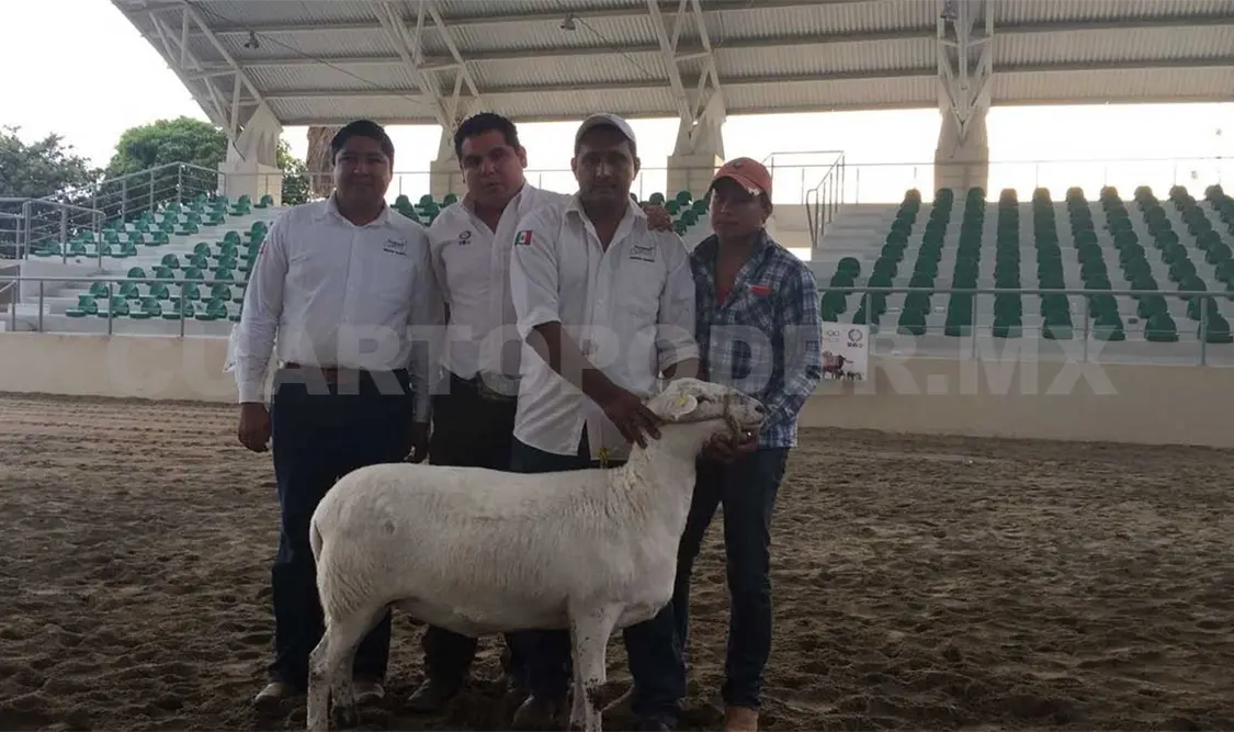 Reconocen a ovinocultores en XX Exposición Regional