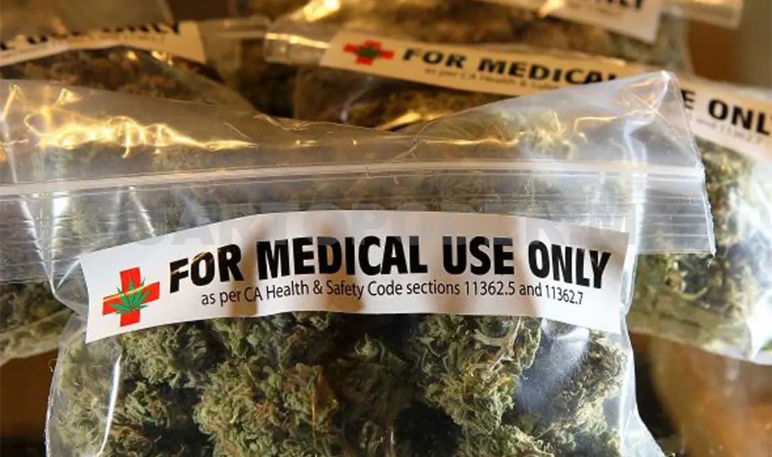 Marihuana comienza a ganar terreno