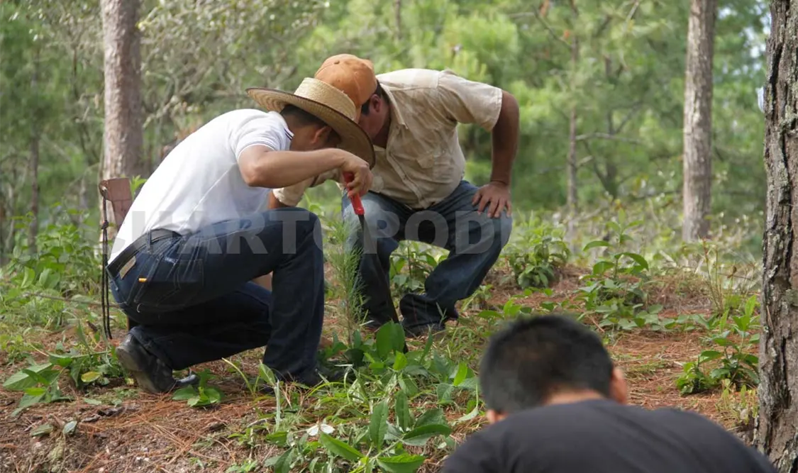 Recorte presupuestal lacera proyectos ambientales para 2017