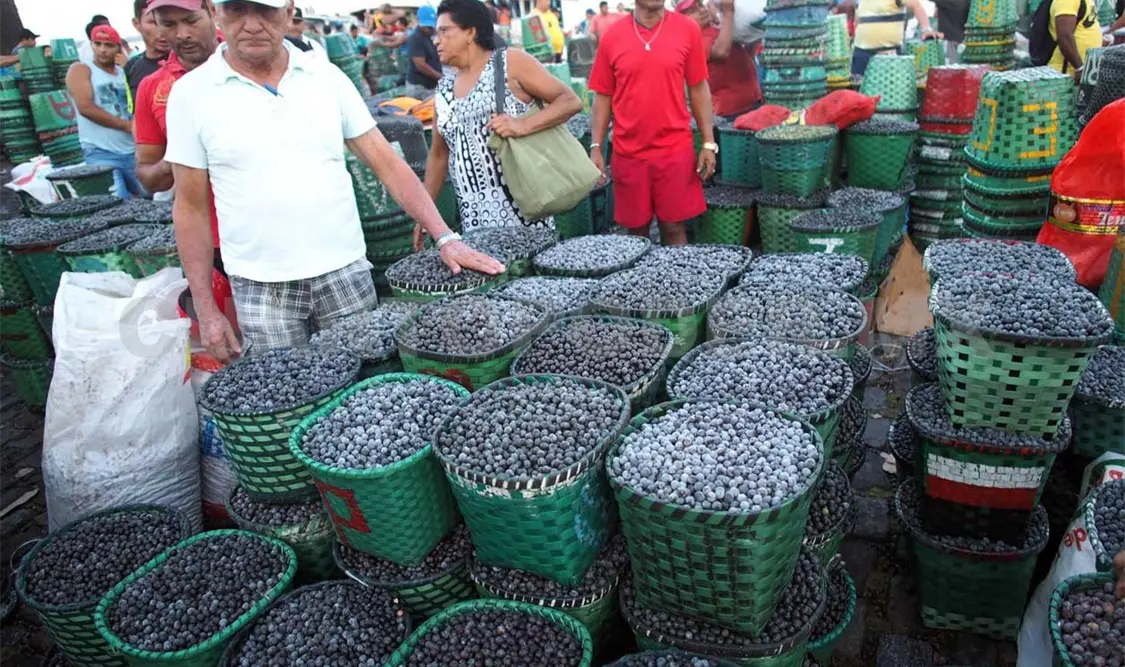 Amazonas festeja Navidad con nutritivo caldo de açaí